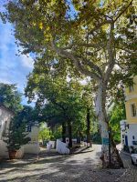Caldas de Monchique