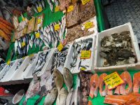 Istanbul. Frischer Fisch