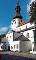 Tallinn Dom
