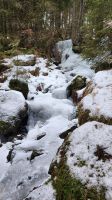 Wanderung auf der Villanderer Alm