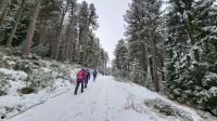 Wanderung auf der Villanderer Alm
