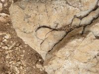 Herz/Wanderung Tucepi - Makarska/Kroatien