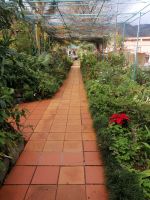 Führung durch die herrliche Gartenanlage der Quinta Splendida