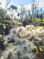 Besuch des prachtvollen Botanischen Gartens von Funchal