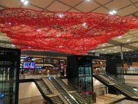 THE Magic Carpet_ großer, roter fliegender Teppich aus Metallgewebe weckt Assoziationen.jpg
