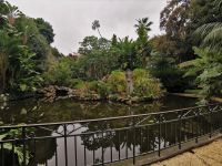 Tag 4 Monte Carlo  