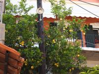 Parga