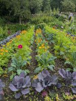 Glenveagh Gardens