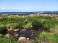 Giants Causeway
