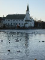 IMG_0236.JPG
