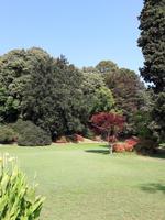 62_Park_Sigurtà