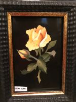 IMG 4536