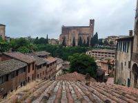Siena 