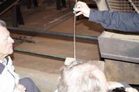 zerkleinertes Gestein