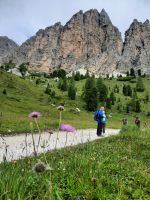 Naturpark Puez - Geisler