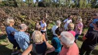 19-kleines Weinseminar.jpg