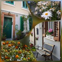 Impressionen