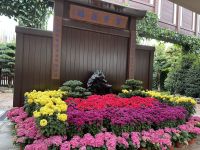 Hongkong - Nan-Lian-Garten