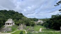 Palenqué, Palenque, Chiapas, Mexico