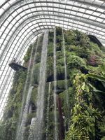 Cloud Forest, Gardens by the Bay, Singapur.jpeg