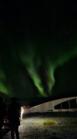 Hurtigruten-Kreuzfahrt // Nordlichter