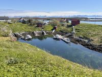 Kreuzfahrt Norwegen - Træna-Archipel Husøy