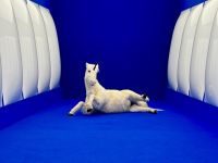 freies Kunstprogramm, Foto c/o SBL