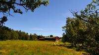 106 Femundsmarka, Svukuriset