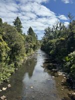 Waipoua