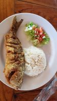 Fisch in Pedasi