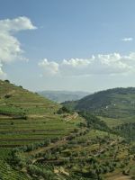 Landschaftsblick