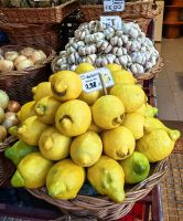 Zitrusfrüchte gedeihen auf Madeira ganz hervorragend