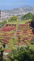 Funchal-Botanischer Garten.jpg