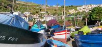 99 Camara de Lobos