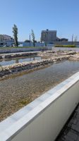 Salzwasserlagunen - Aveiro 