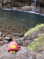 Tag 2 Blick auf die 25 Quellen 