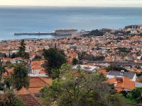Blick auf den Hafen von Funchal.jpg