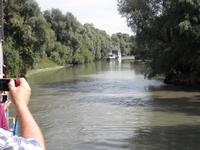 Donauarm im Delta