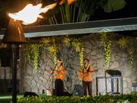Musik-Show