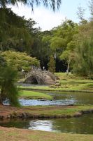 Inselhüpfen Hawaii - Big Island - Japanischer Garten Hilo (3)