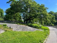 Central Park