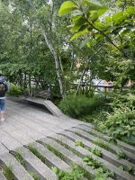 High Line Park