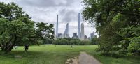 84 Central Park NY