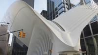 The Oculus