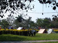61 Blumenmarkt Hue