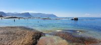 Südafrika - Simon`s Town - Boulders Beach