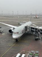 Flug mit Qatar Airways nach Doha