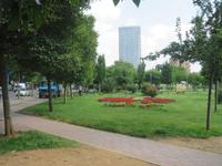 Tirana