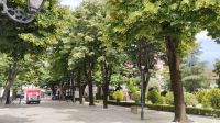 Shkodra