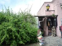 Colonia
